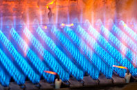 Chaddlehanger gas fired boilers